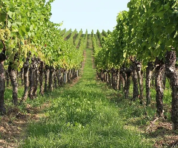 Ξενοδοχείο Braun 3*