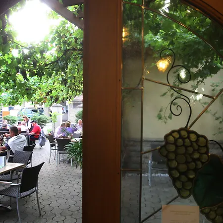 Hotel Braun Fahr